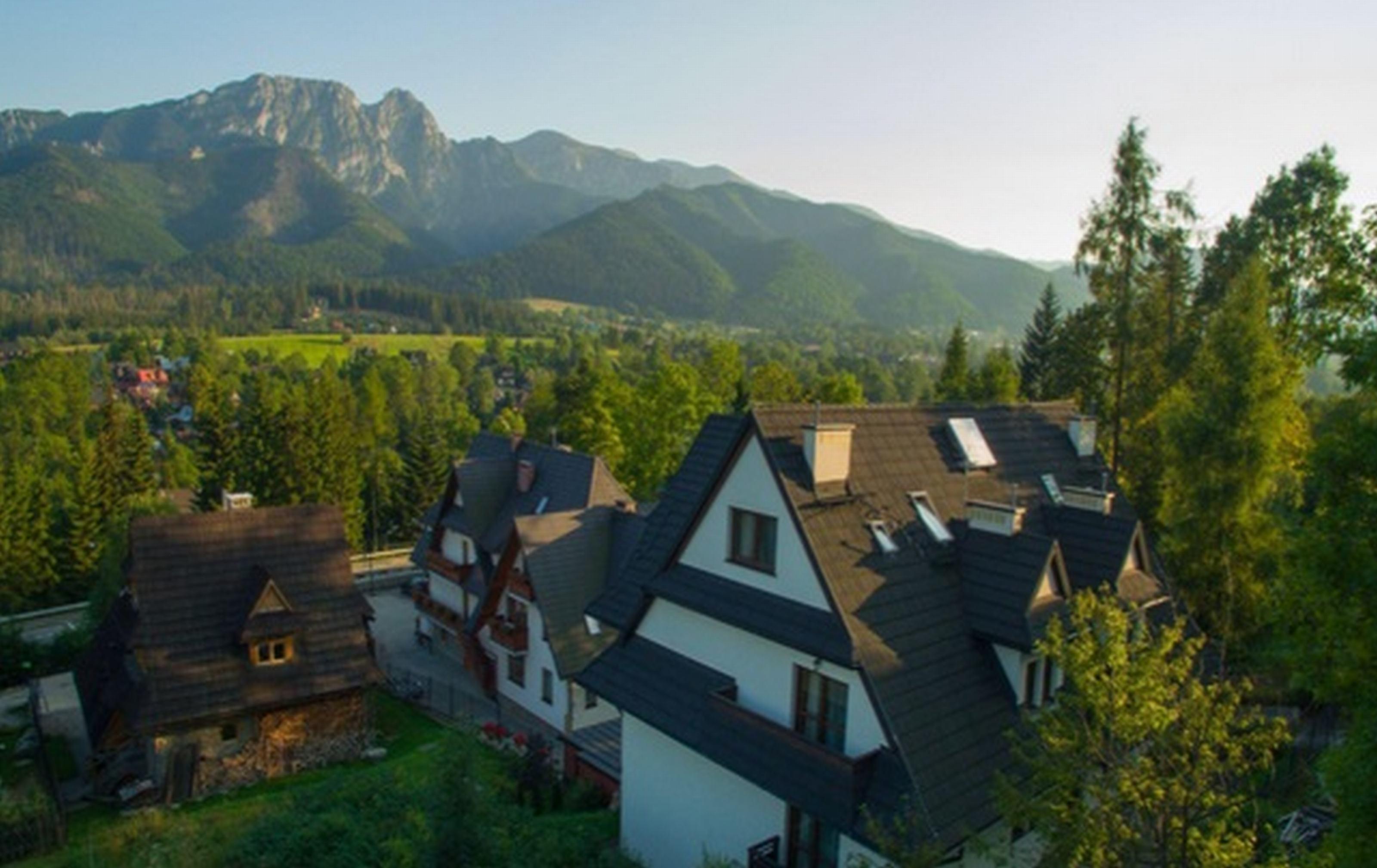 New Willa Jan Zakopane Bagian luar foto