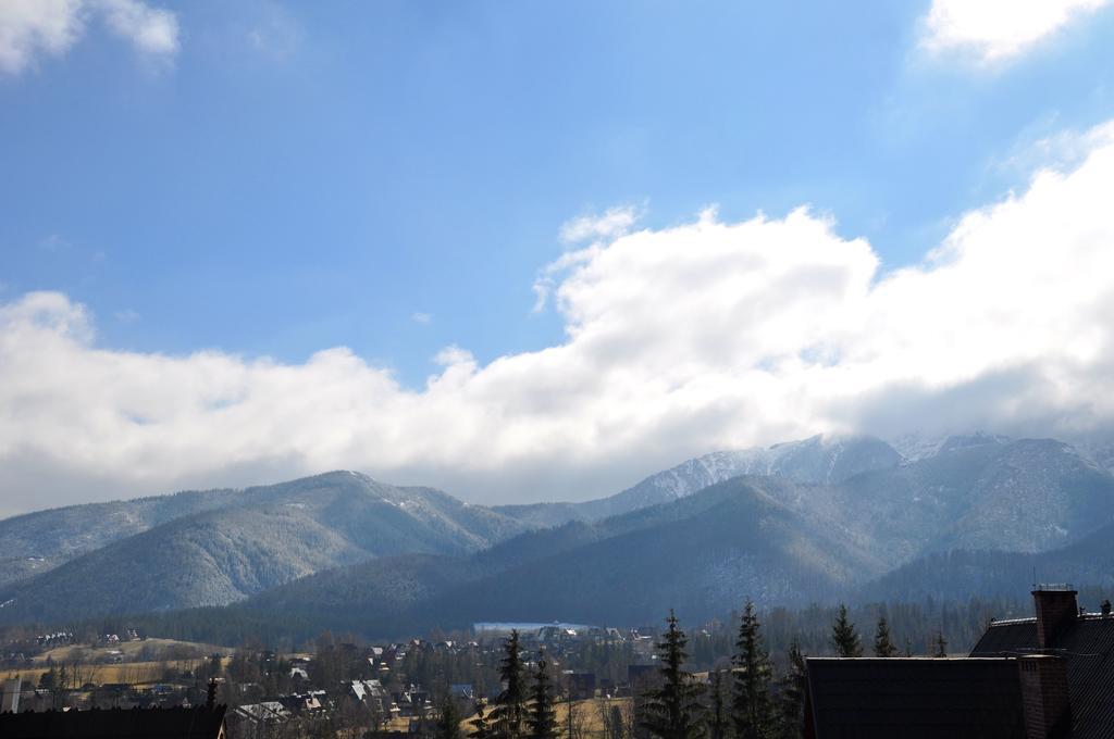 New Willa Jan Zakopane Bagian luar foto